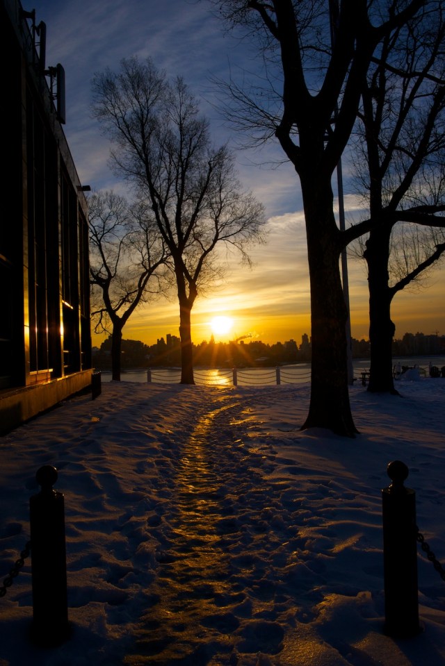 Strong lines- Curved